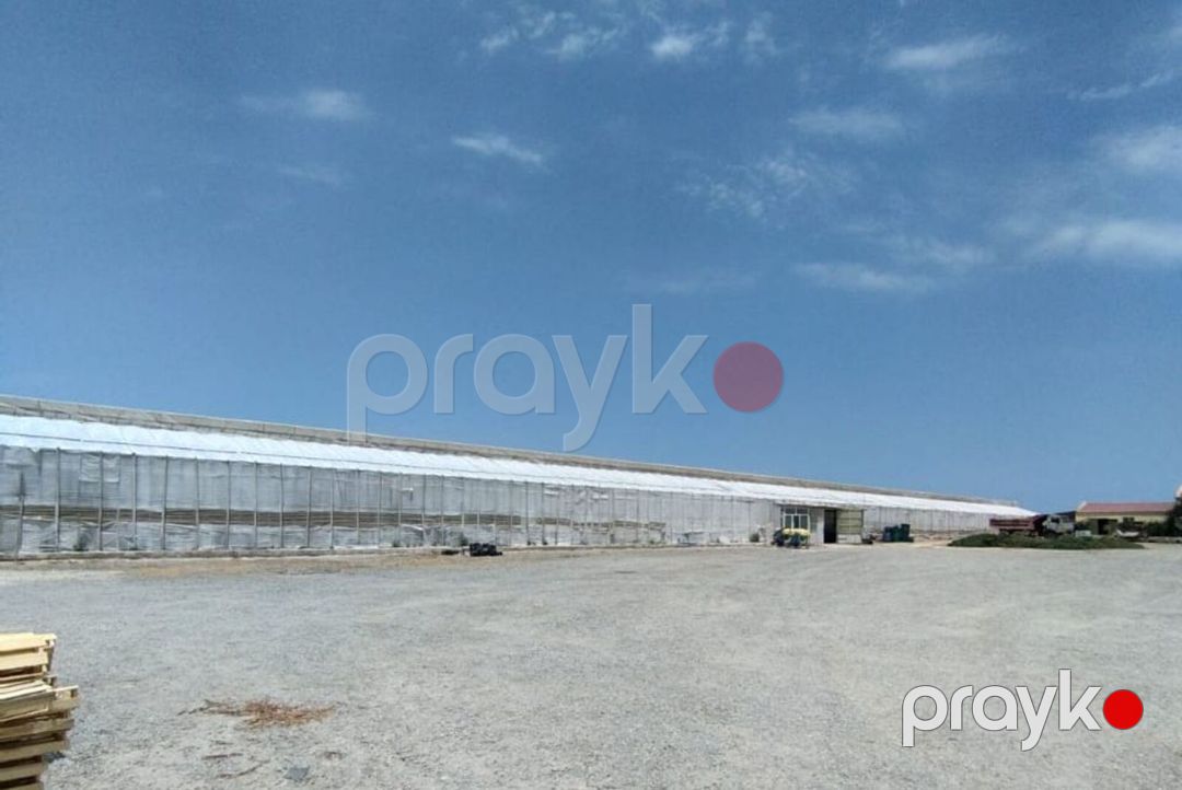 Satılır obyekt 1500 m² — Əmlak, Bakı (4)