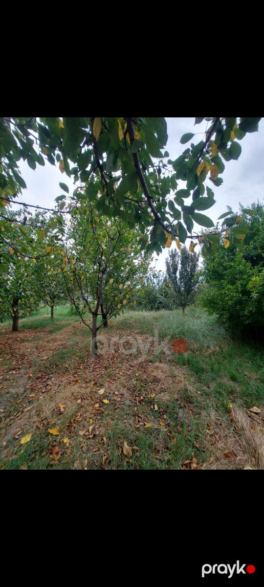 Həyət evi, Xudat r — Ev, villa, Xudat (8)