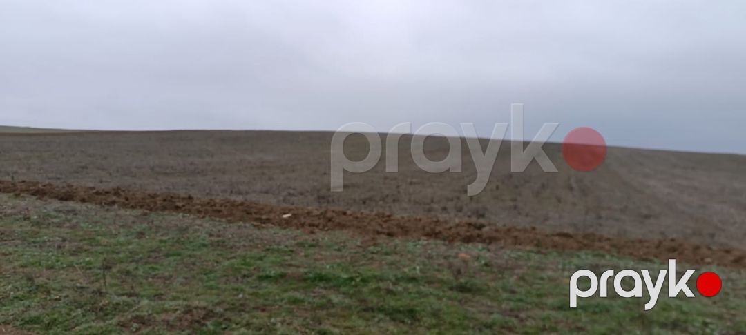 10000 sot torpaq sahəsi, Siyəzən r — Torpaq, Siyəzən (9)
