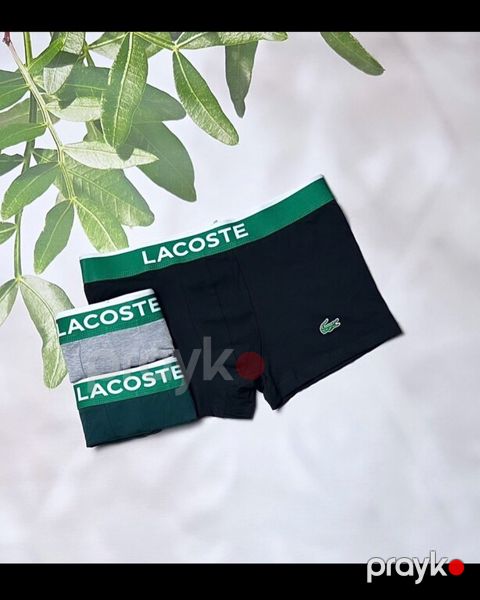 Alt geyimi "Lacoste" — Bakı