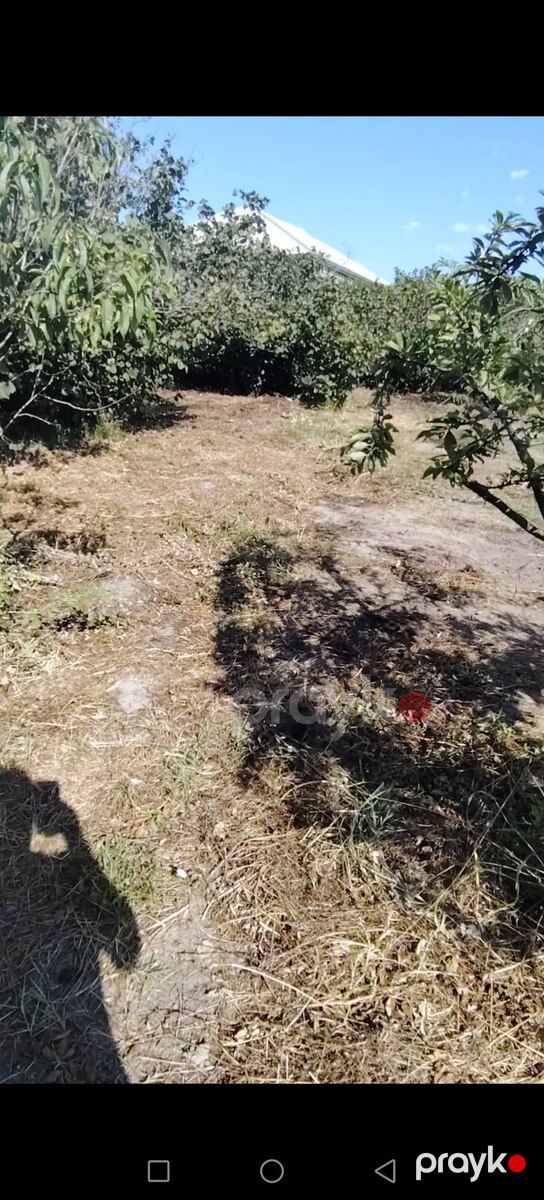 28 sot torpaq sahəsi, Xaçmaz r — Torpaq, Xaçmaz (2)
