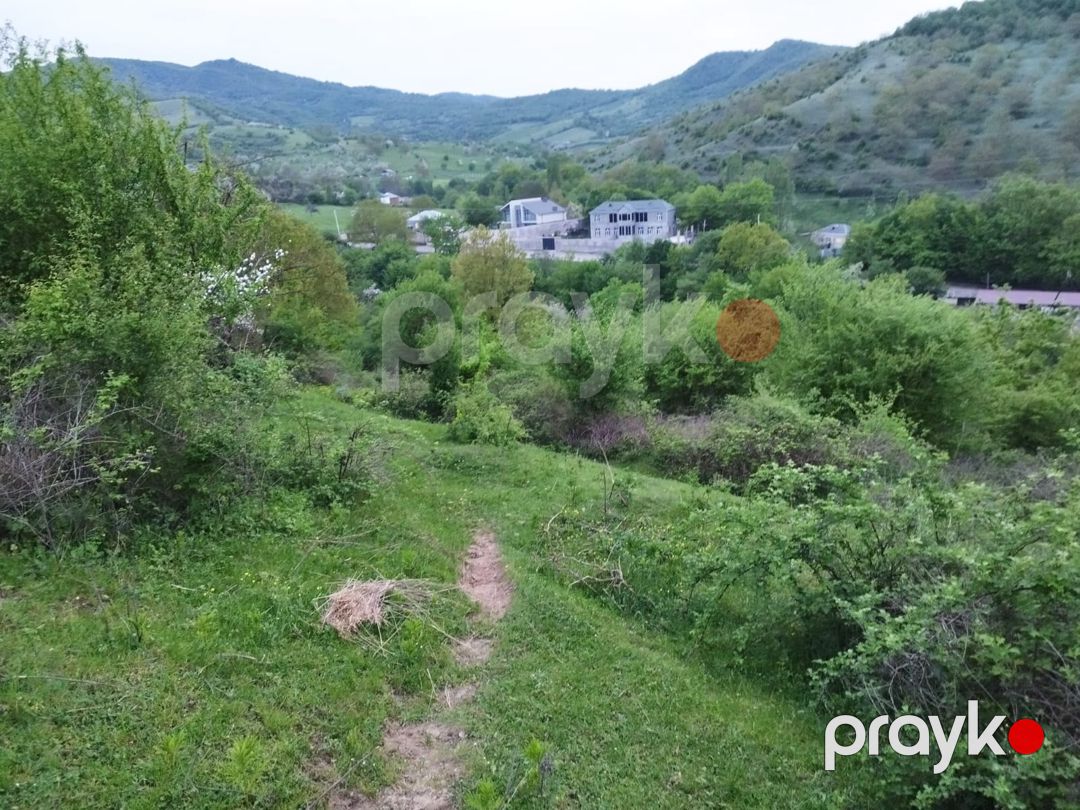 24 sot torpaq sahəsi, Quba r — Torpaq, Quba (12)