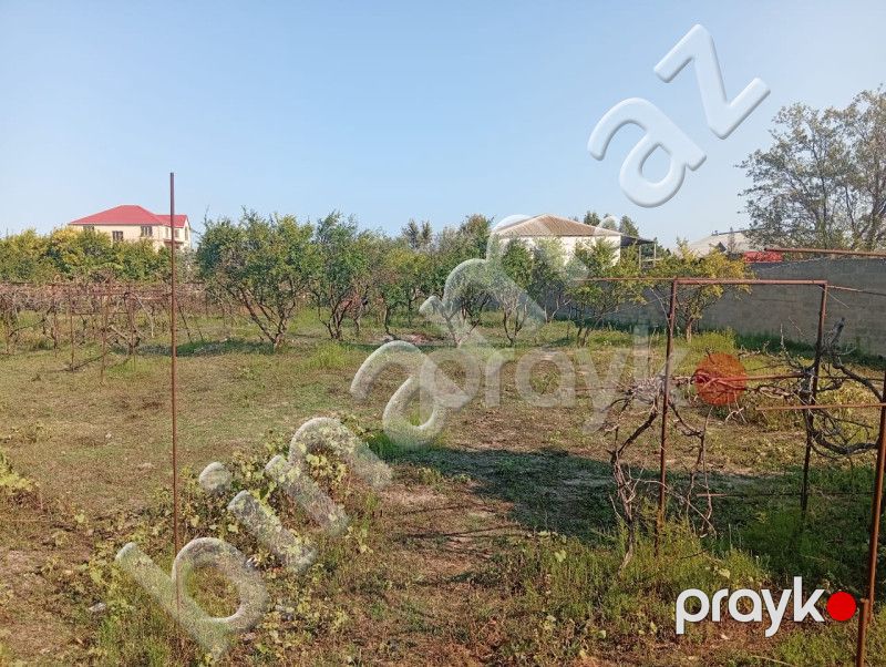 21 sot Torpaq, Satış, Bakı, Sabunçu — Torpaq, Bakı (7)