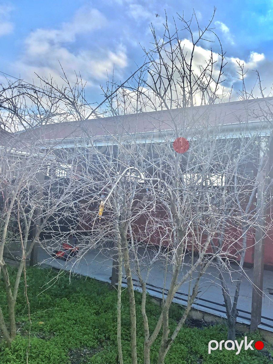 Satılır 4 otaqlı həyət evi/bağ evi 100 m² — Ev, villa, Bakı (4)