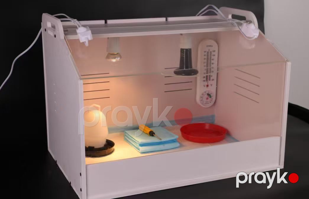 İnkubator Bruder, taxta/plastik — Mallar, Bakı (2)