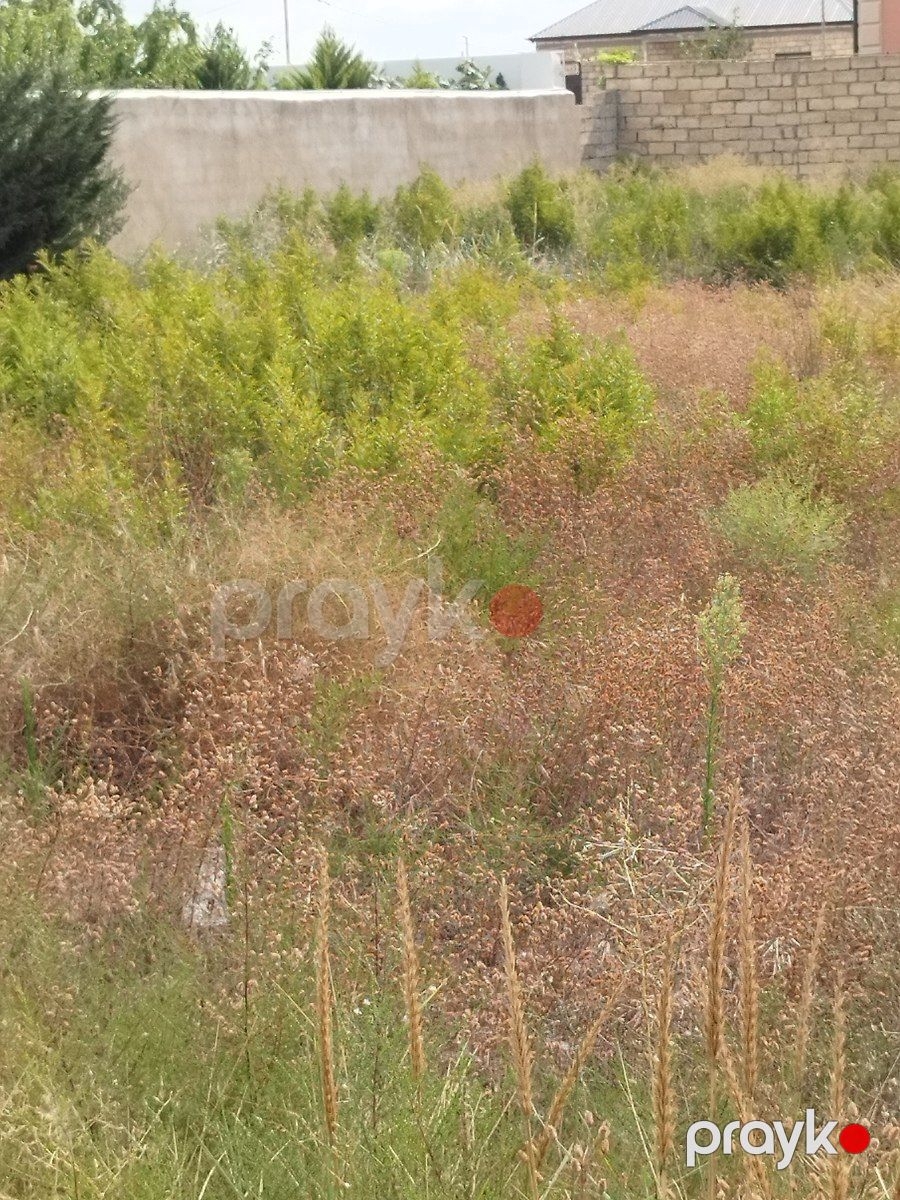 Satılır torpaq 12 sot — Torpaq, Bakı (9)