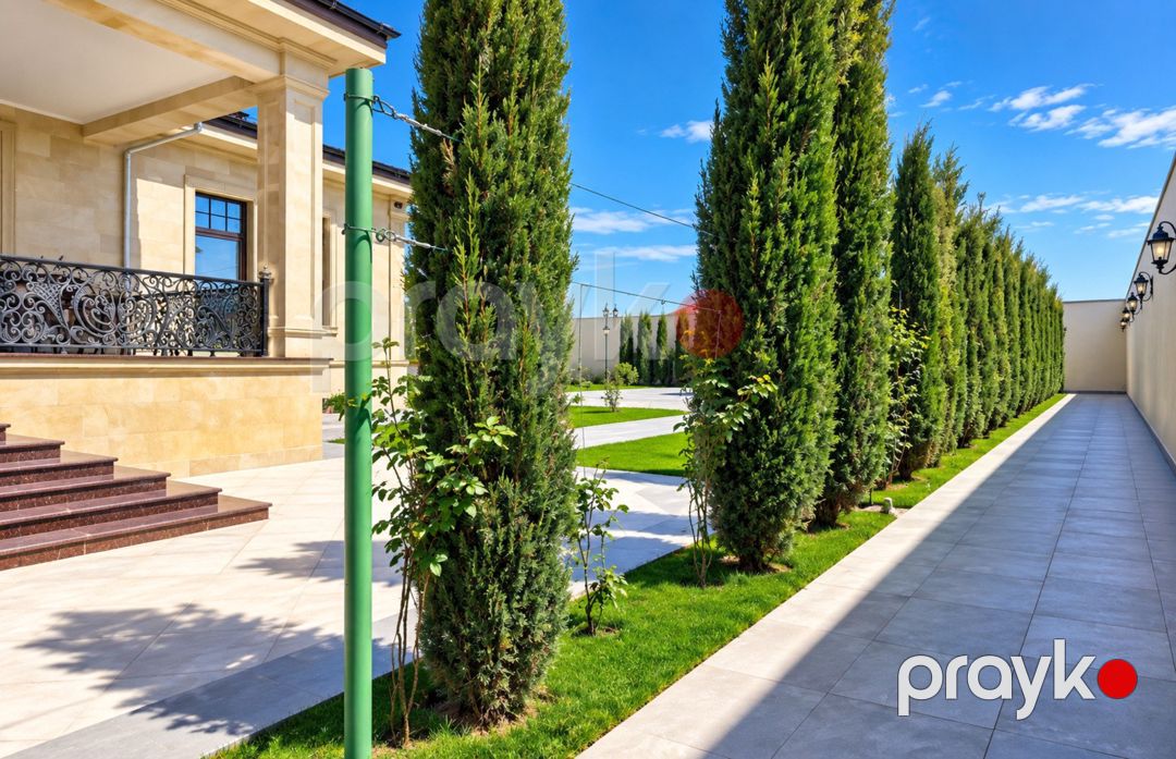 Satılır 8 otaqlı həyət evi/bağ evi 1000 m² — Ev, villa, Bakı (6)