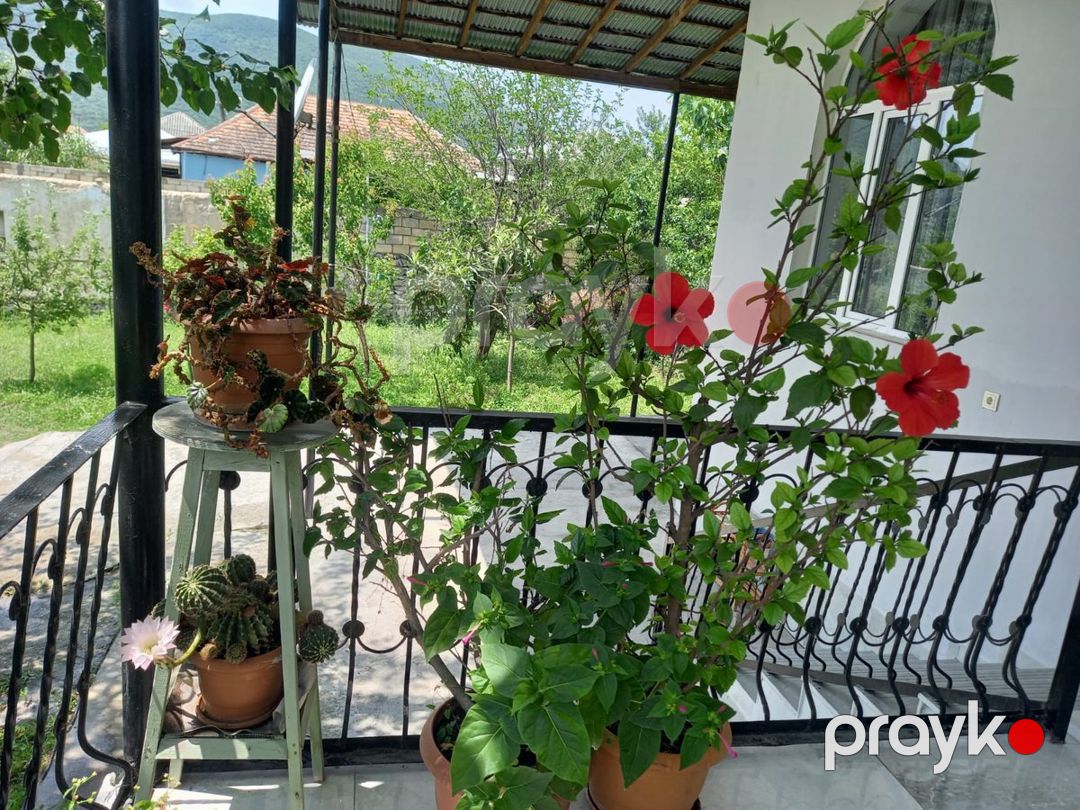 Bağ evi kirayə verilir, 120 m², Şəki Marxal yolu — Mənzil, Şəki (7)
