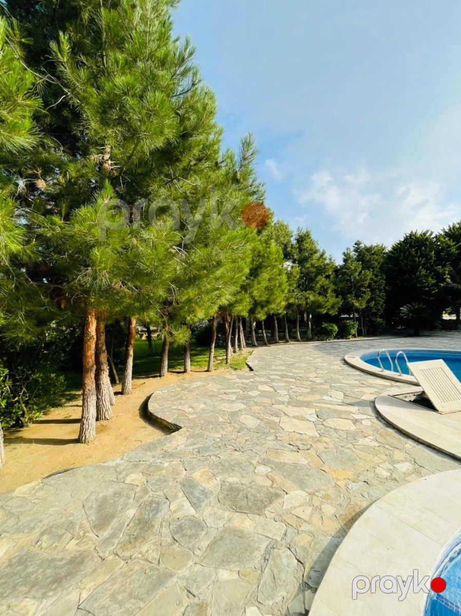 İcarəyə verilir 6 otaqlı həyət evi/bağ evi 500 m² — Ev, villa, Bakı (4)