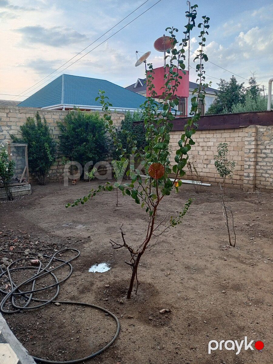 Həyət evi, Gəncə ş — Ev, villa, Gəncə (2)