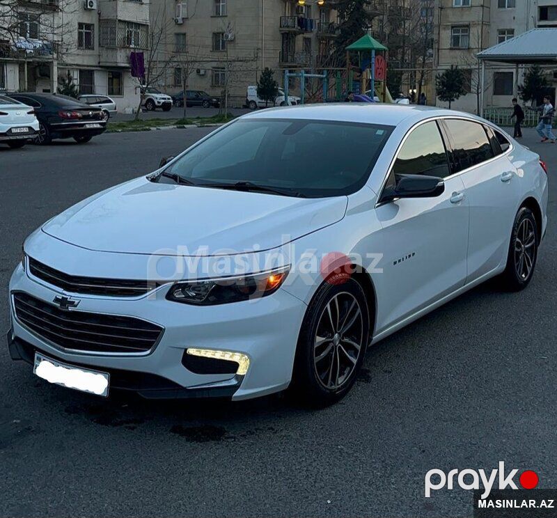 Chevrolet Malibu, 2020 il — Minik avtomobili icarəsi, Bakı (3)