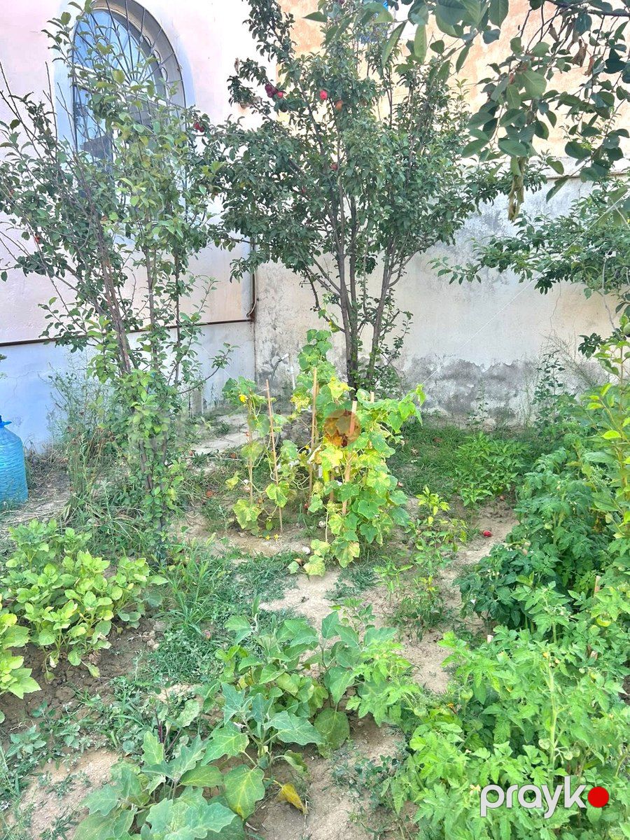 Satılır 4 otaqlı həyət evi/bağ evi 185 m² — Ev, villa, Bakı (6)