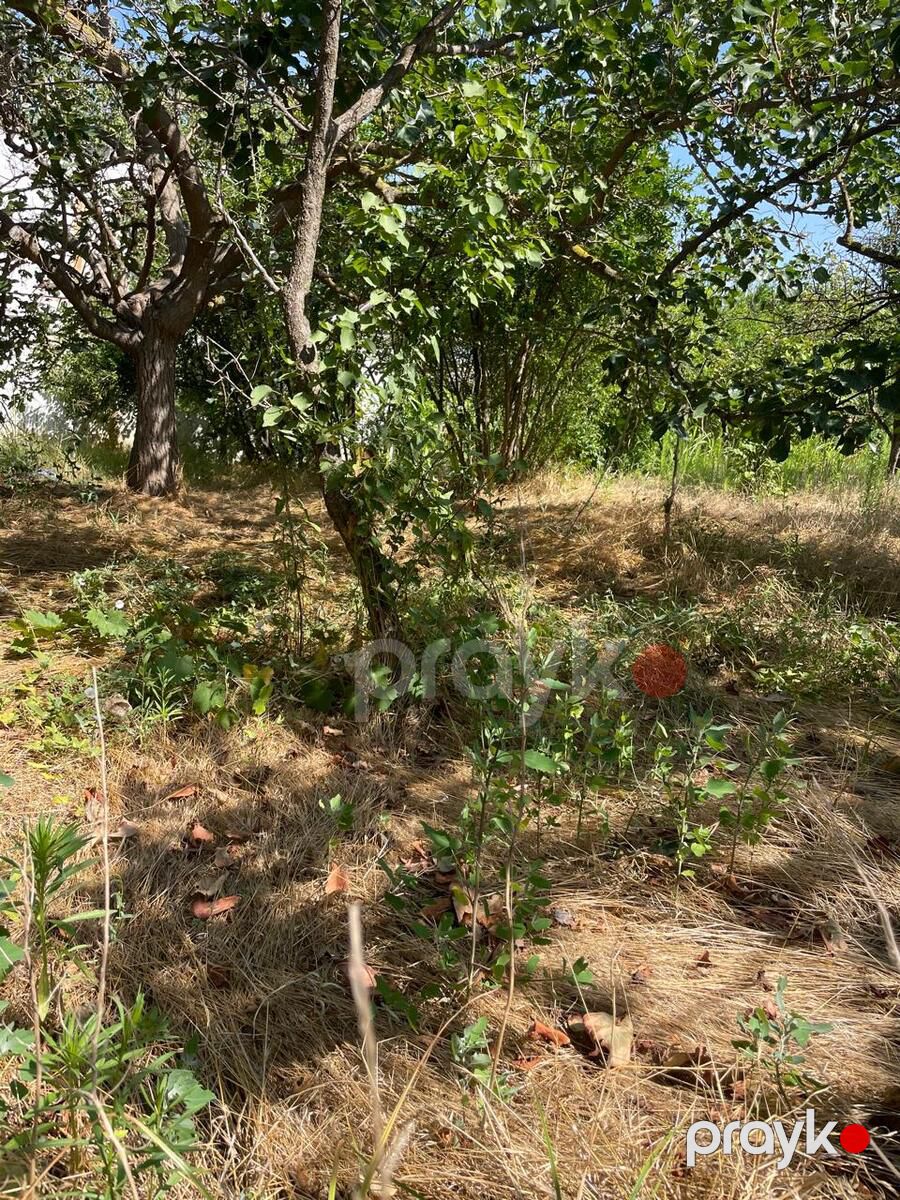 Satılır torpaq 12 sot — Torpaq, Bakı (10)