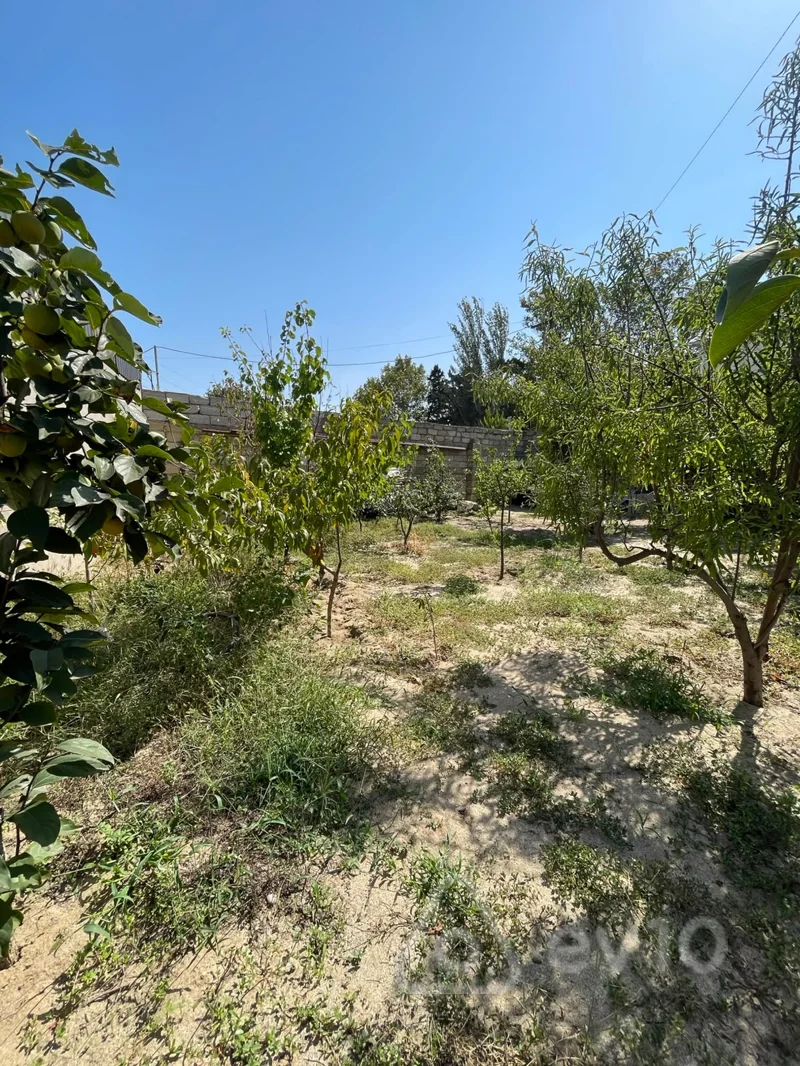 5 otaqlı həyət evi, 165 m², Novxanı Sarı Qaya — Ev, villa, Bakı (12)