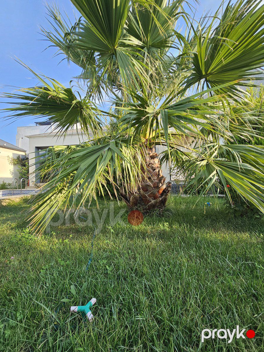 Satılır 4 otaqlı həyət evi/bağ evi 160 m² — Ev, villa, Bakı (6)