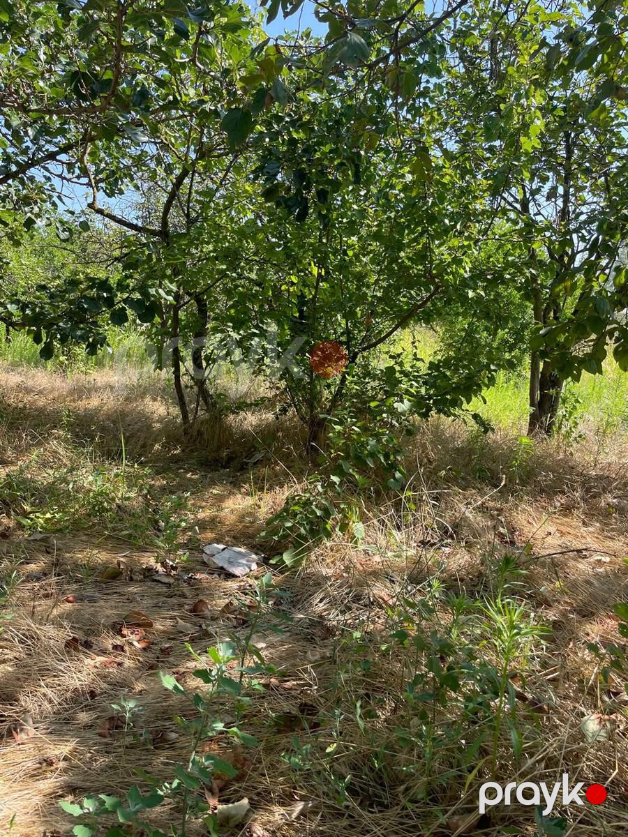 Satılır torpaq 12 sot — Torpaq, Bakı (12)