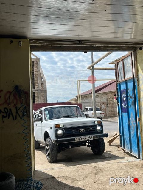 Lada (VAZ) Niva, 1.7 L, 2013 il, 224 582 km — Bakı