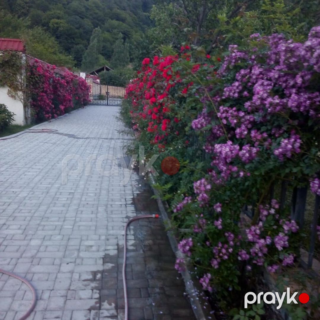 Satılır 6 otaqlı həyət evi/bağ evi 460 m² — Ev, villa, Qəbələ (3)