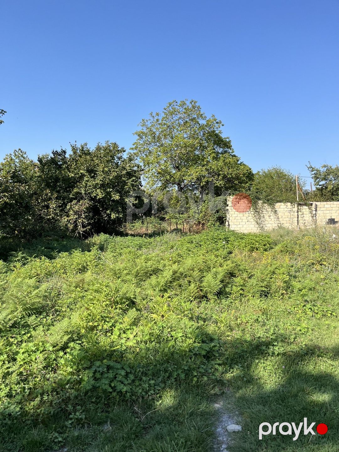 Satılır torpaq 15 sot — Torpaq, Qəbələ (8)