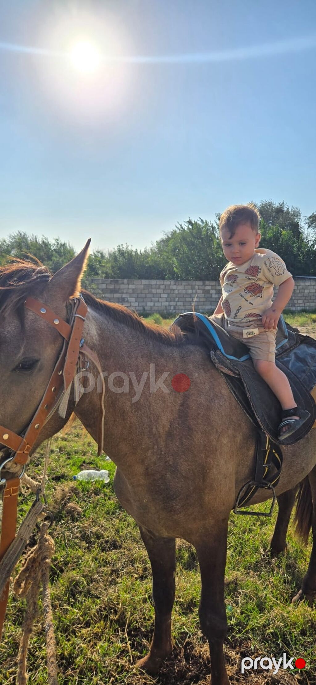 Salam satlir deye bu qiymete verem yorgada gedir caparaqda — Atlar, Sumqayıt (3)