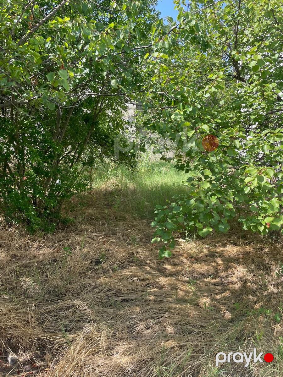 Satılır torpaq 12 sot — Torpaq, Bakı (9)