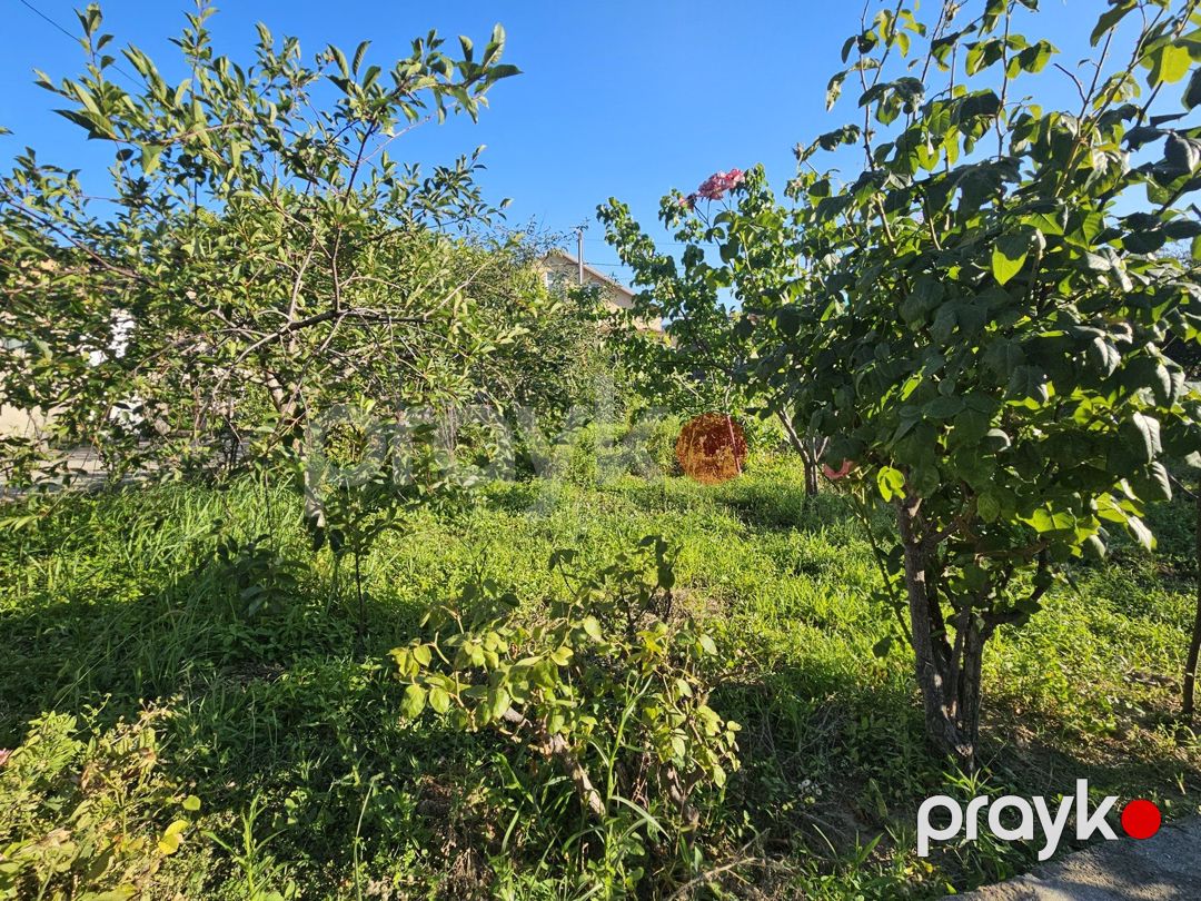 Satılır torpaq 3 sot — Torpaq, Bakı (2)