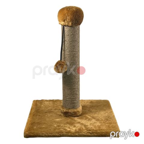 Dırnaq itiləyən Zoomir, qəhvəyi, ölçü S, 42x29x29 sm — Bakı