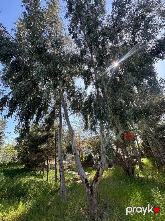 11 sot torpaq sahəsi, Şüvəlan qəs — Torpaq, Bakı (6)