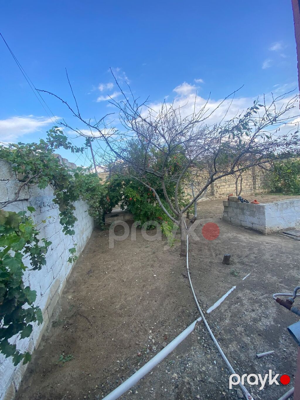 20 sot, Tikinti, Mülkiyyətçi, Kupça (Çıxarış) — Torpaq, Novxanı (8)