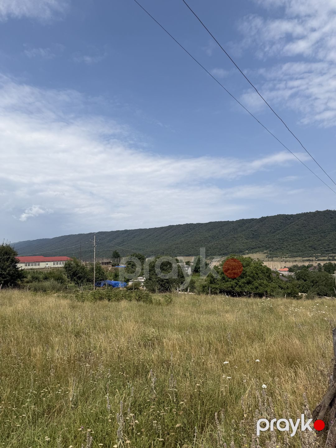 Xurayda 5 sot torpaq satılır — Torpaq, Qusar (4)