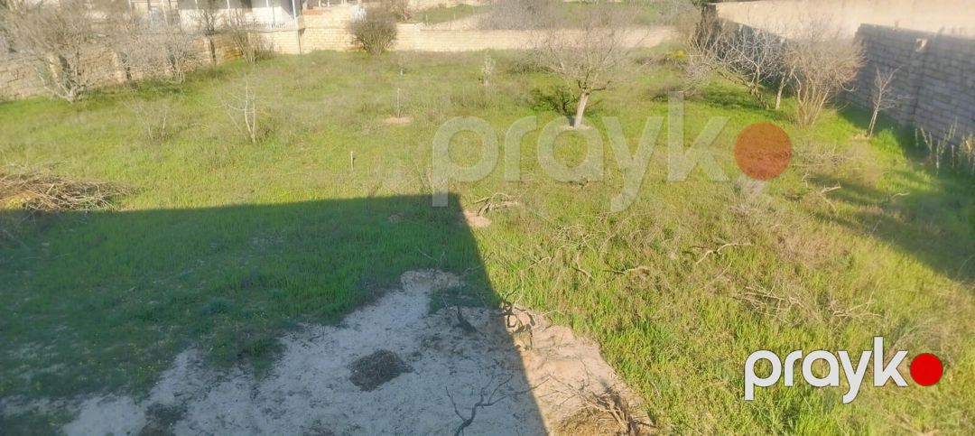 Satılır torpaq 21 sot — Torpaq, Bakı (3)
