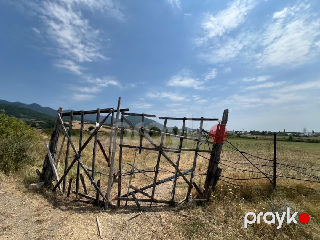 Satılır torpaq 37 sot — Torpaq, İsmayıllı (2)