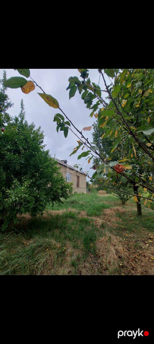 Həyət evi, Xudat r — Ev, villa, Xudat (6)