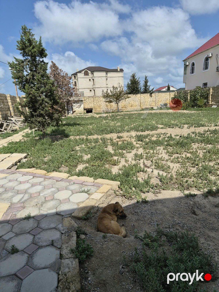 Satılır torpaq 6 sot — Torpaq, Sumqayıt (6)