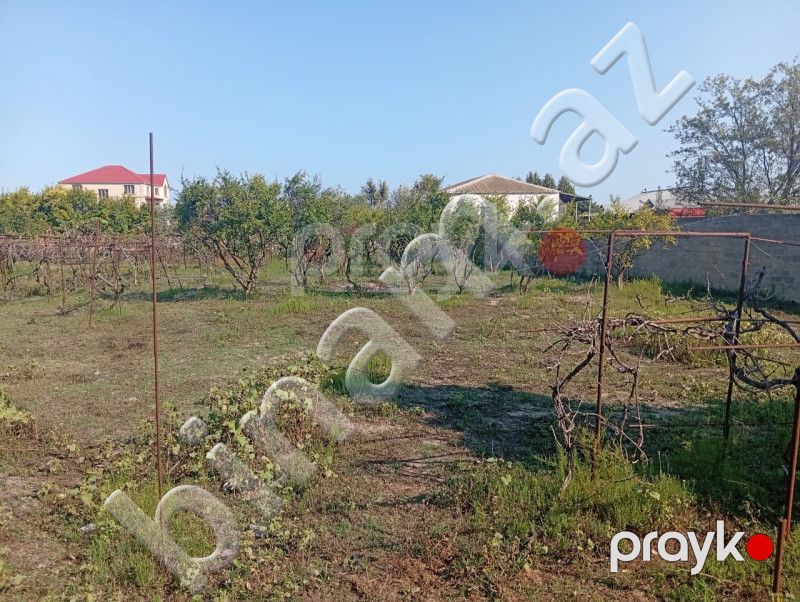 21 sot Torpaq, Satış, Bakı, Sabunçu — Torpaq, Bakı (4)