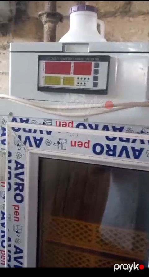 Inkubator satılır 800 yumurta tutur super — Salyan