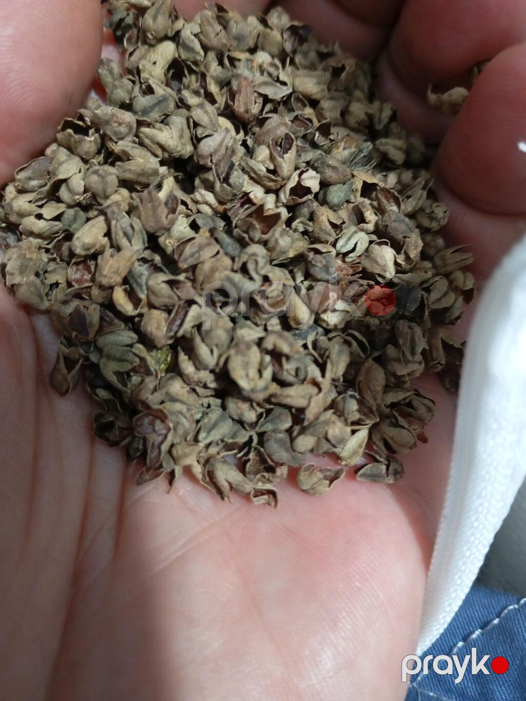 Baş boyun bel kürək ayaq ağrılarını birinci gün yatdıqda aradan — Yastıqlar, Bakı (3)