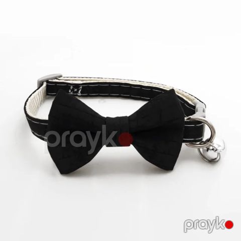 Boyunluq 78009649, zınqırovlu, pişiklər və itlər üçün, qara — Bakı
