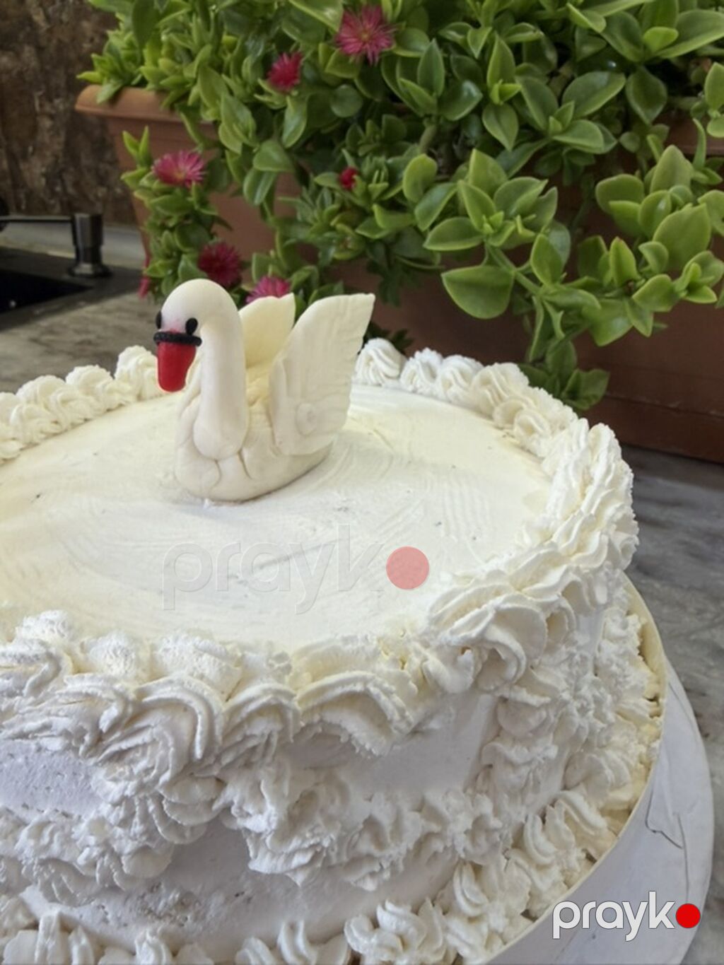 Zərif “Qu quşu” tortu – klassik ağ krem bəzəkli, üstündə əl işi qu — Qida məhsulları, Digah (2)
