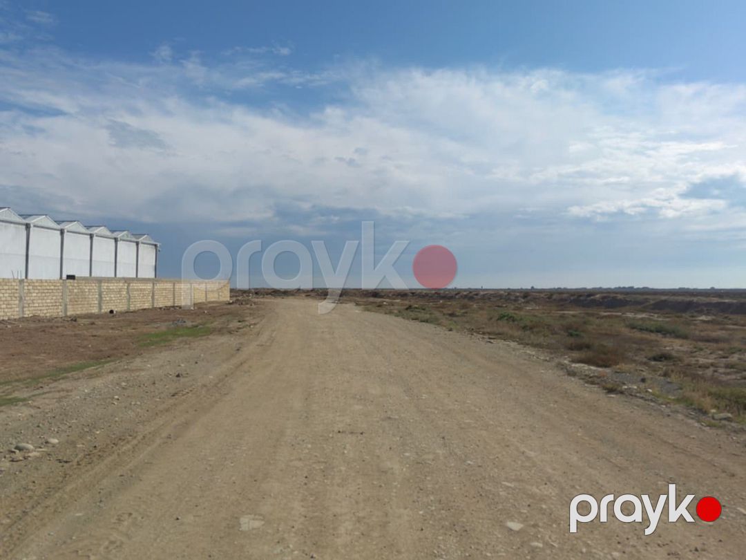 150 sot torpaq sahəsi, Şamaxı r — Torpaq, Şamaxı (3)