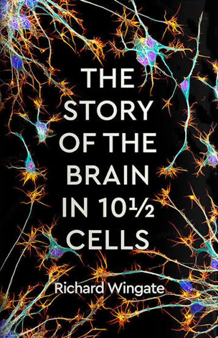 The Story of the Brain in 10½ Cells — Bakı