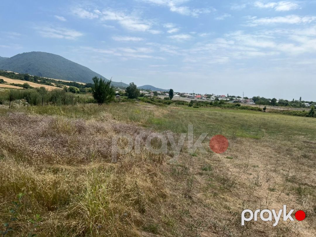 Satılır torpaq 37 sot — Torpaq, İsmayıllı (4)