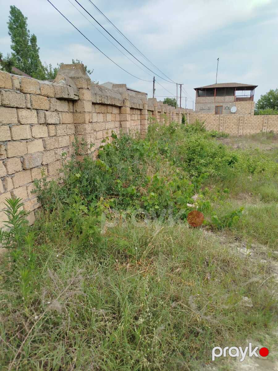 10 sot torpaq sahəsi, Novxanı qəs — Torpaq, Bakı (4)