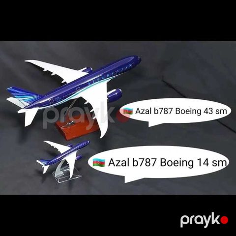"Azerbaijan Airlines 787 Plane" modeli — Bakı