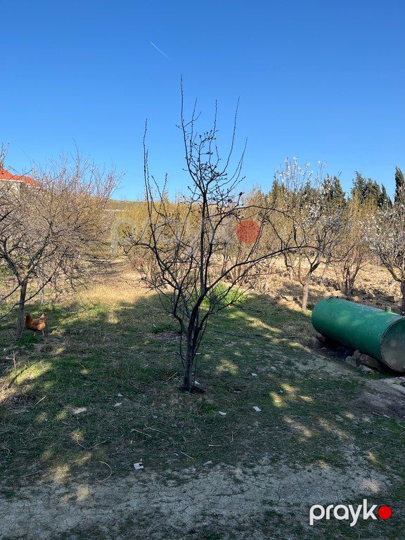 12 sot torpaq sahəsi, Novxanı qəs — Torpaq, Bakı (9)