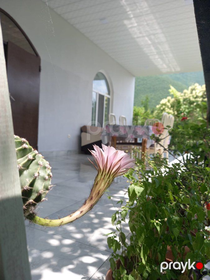 Bağ evi kirayə verilir, 120 m², Şəki Marxal yolu — Mənzil, Şəki (5)
