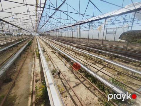 Satılır obyekt 20000 m² — Bakı