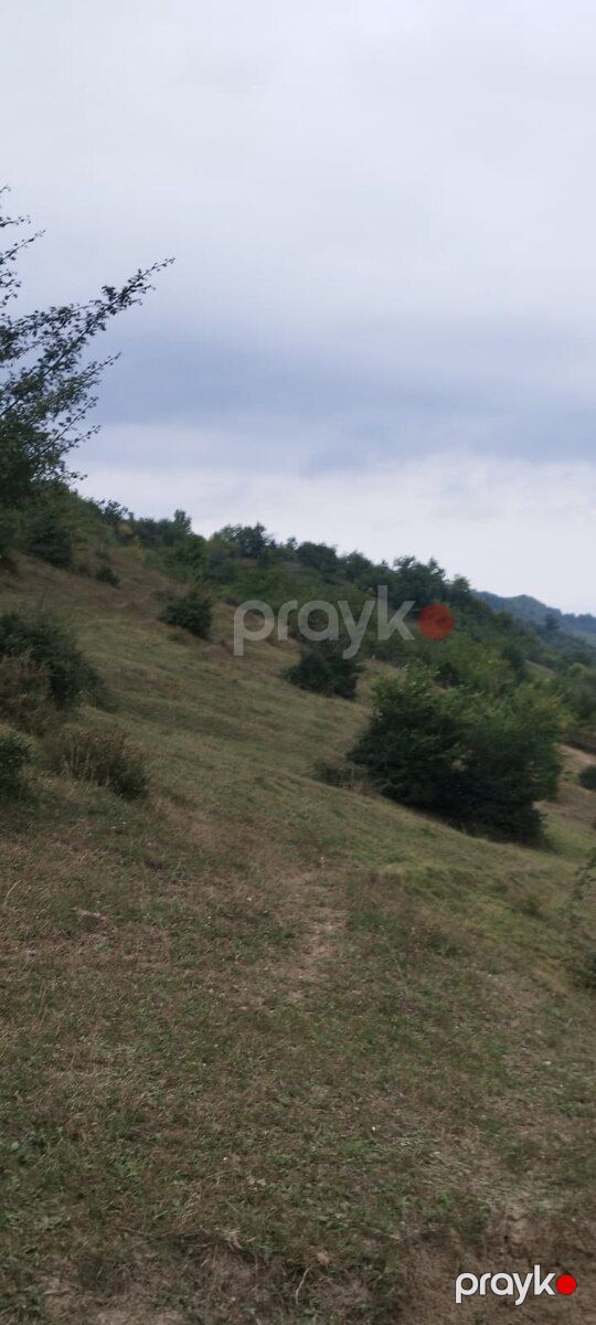 142 sot torpaq sahəsi, Quba r — Torpaq, Quba (11)