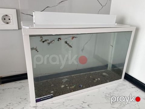 Dördbucaq akvarium, Balıqlarla birlikdə, 20 l, Ünvandan götürmə, Ödənişli çatdırılma — Digah