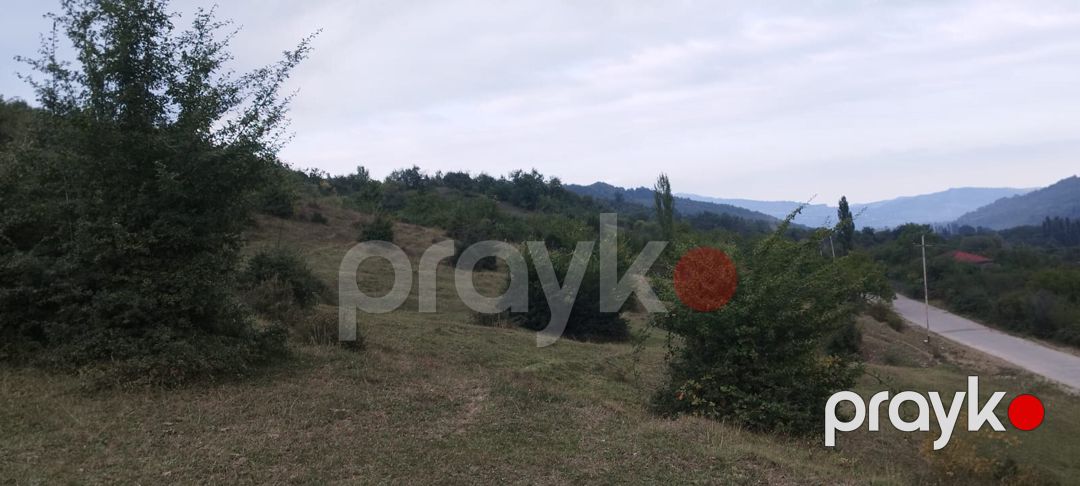 142 sot torpaq sahəsi, Quba r — Torpaq, Quba (10)